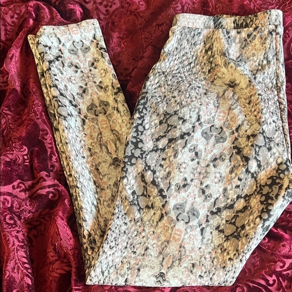 Bar III Grey Black Cream Pink Snake Print Leggings M